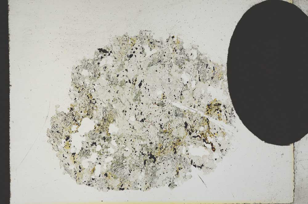 Plane Polarized, S11380