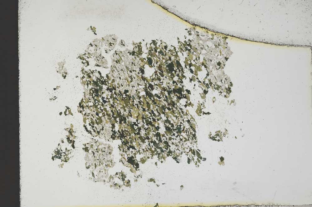 Plane Polarized, S11385