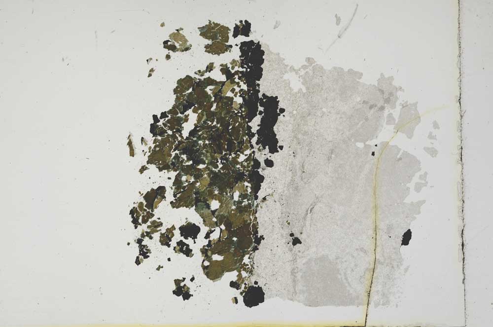 Plane Polarized, S11386