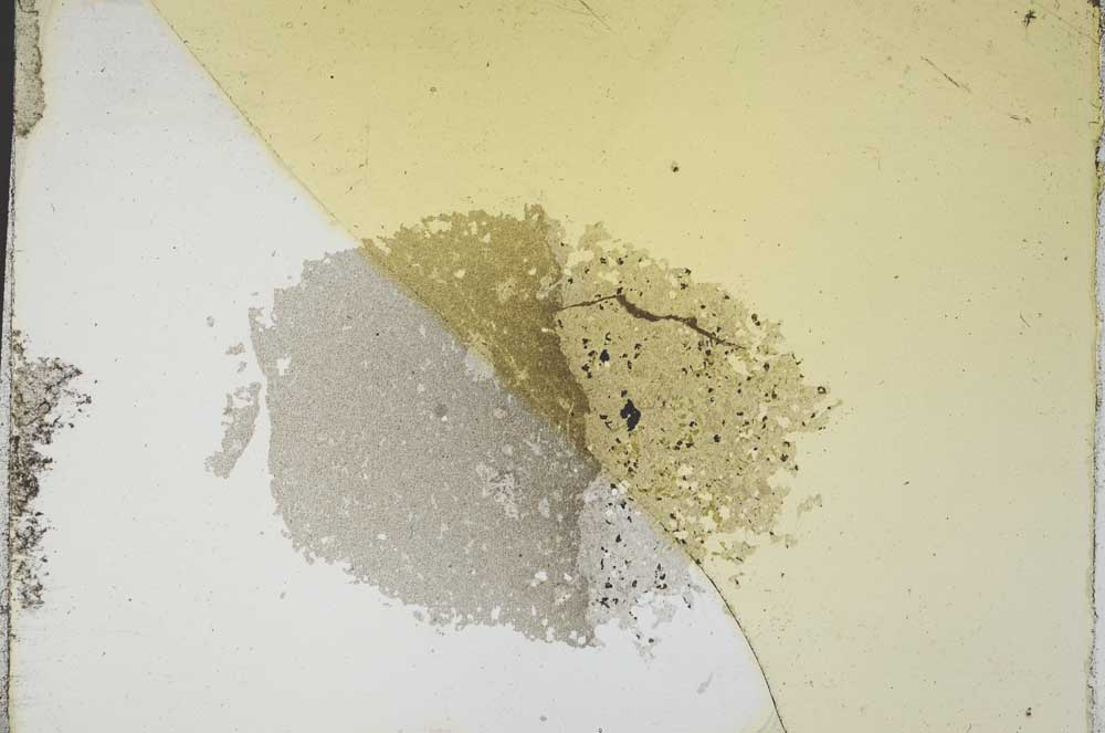 Plane Polarized, S11389