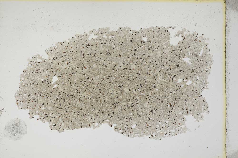 Plane Polarized, S11390