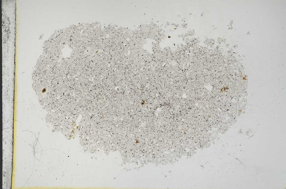 Plane Polarized, S11396