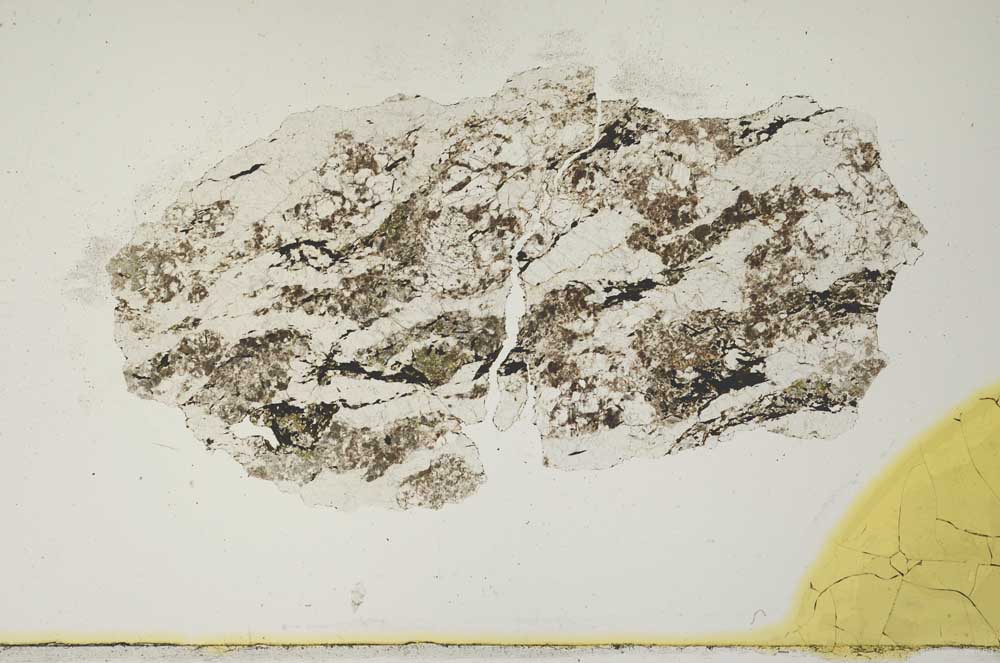 Plane Polarized, S1741