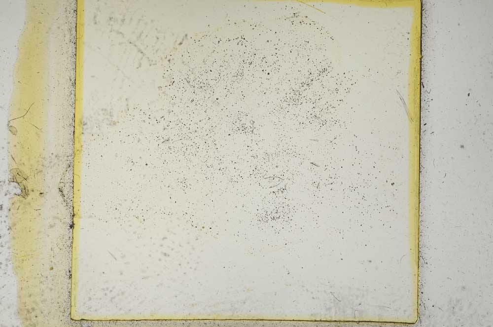 Plane Polarized, S1760