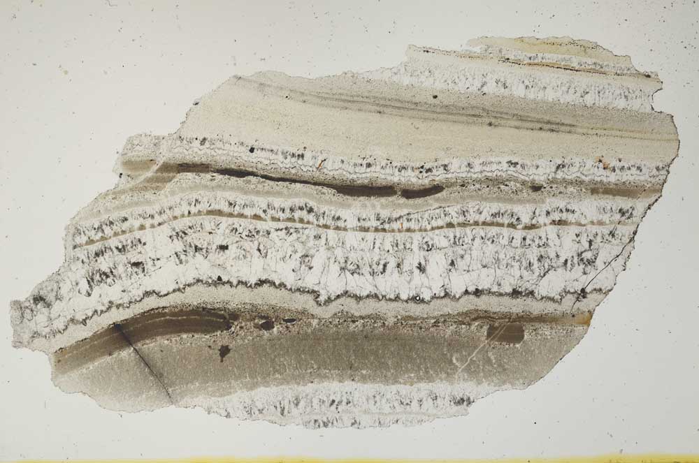 Plane Polarized, S1761