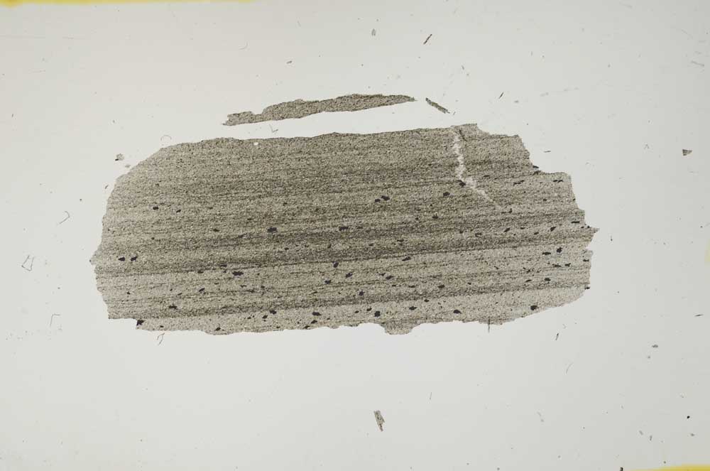 Plane Polarized, S1763
