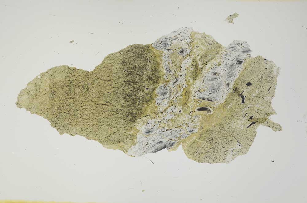 Plane Polarized, S1769