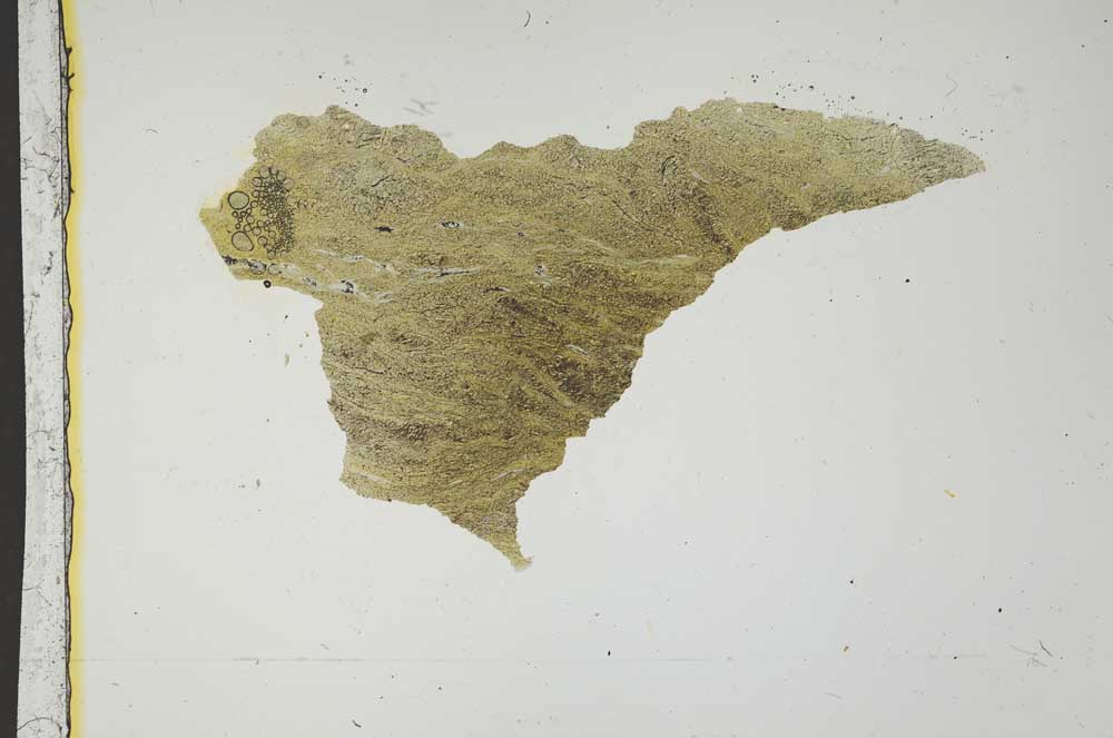 Plane Polarized, S1772