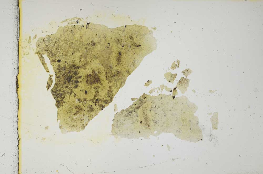 Plane Polarized, S1787