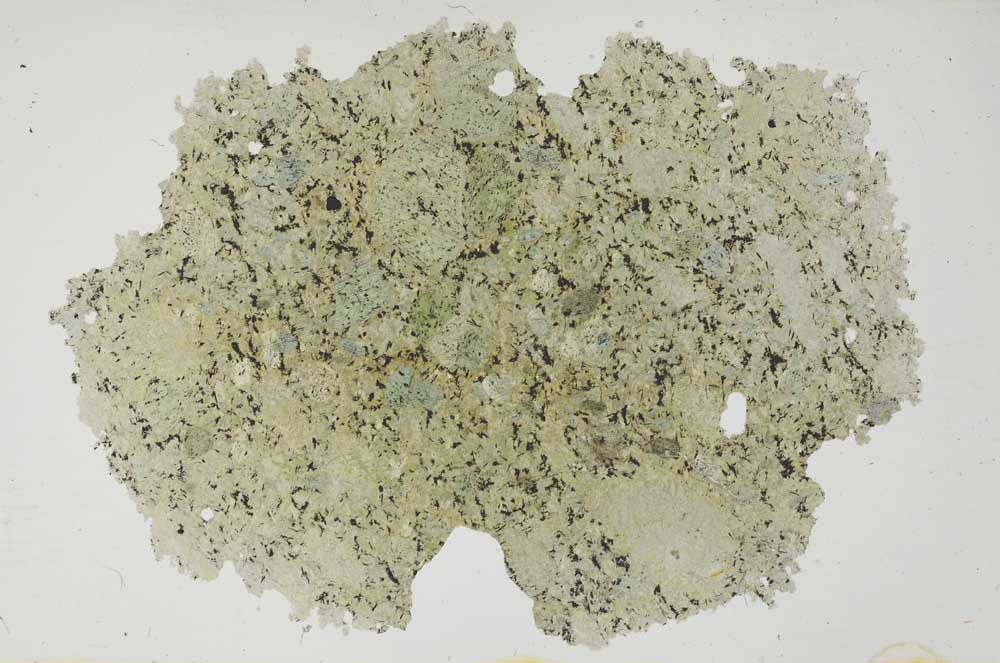 Plane Polarized, S1788