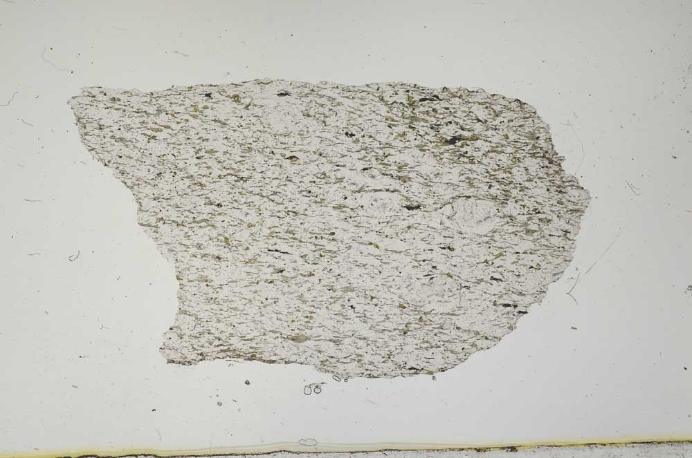 Plane Polarized, S1789