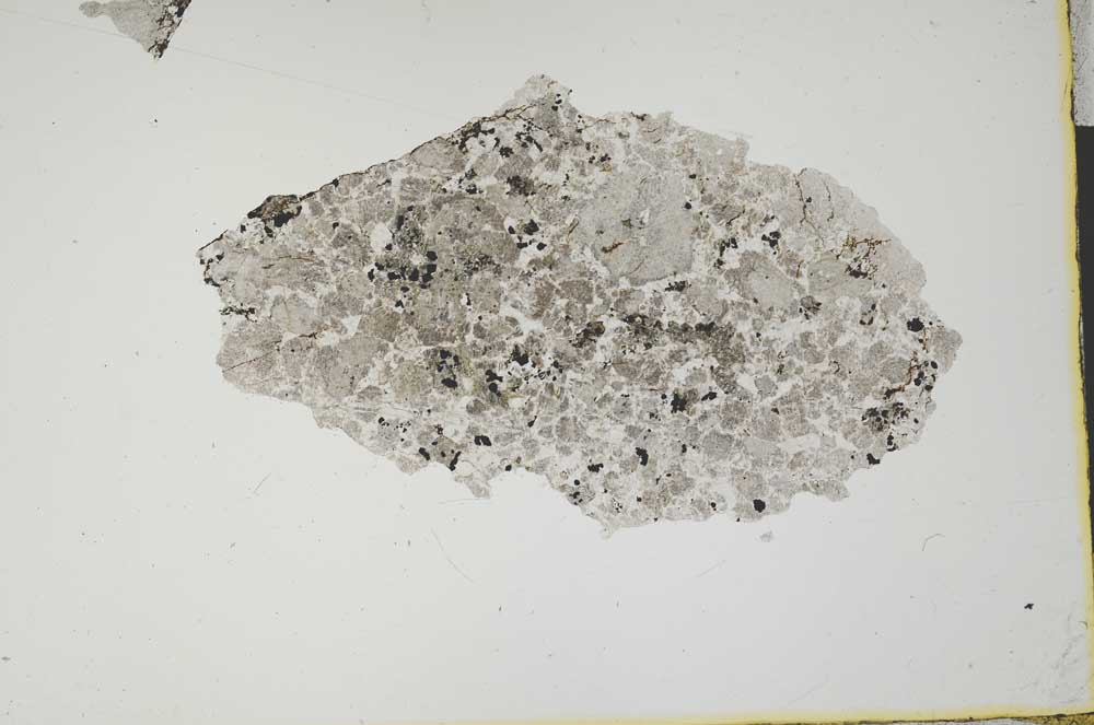 Plane Polarized, S1795