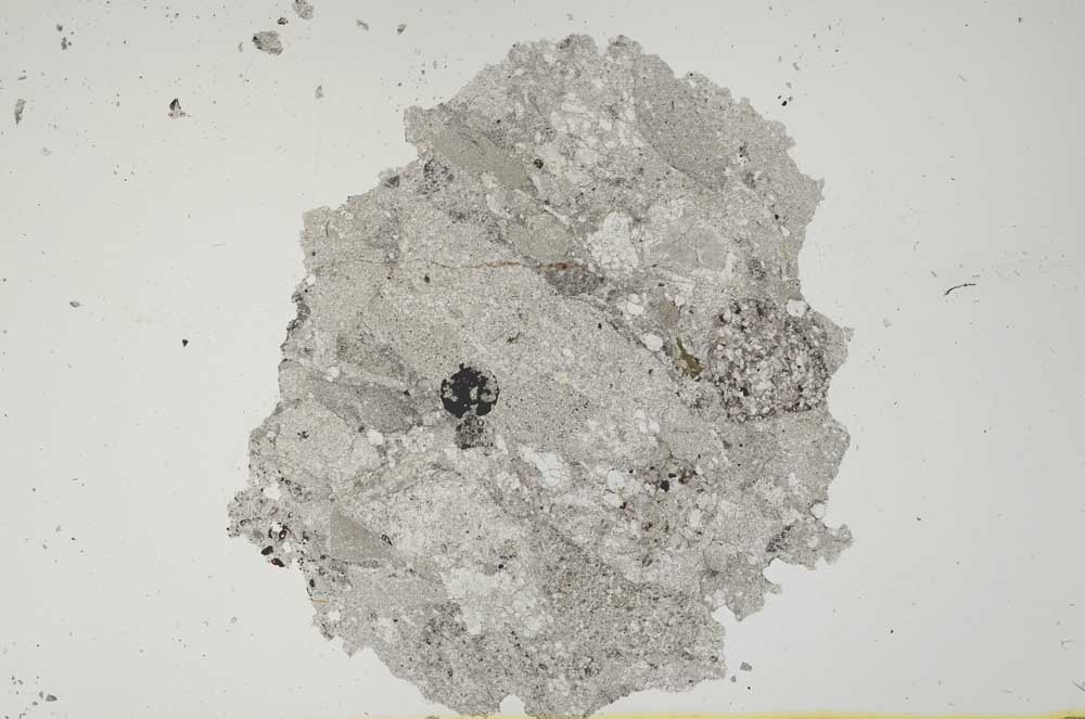 Plane Polarized, S1797