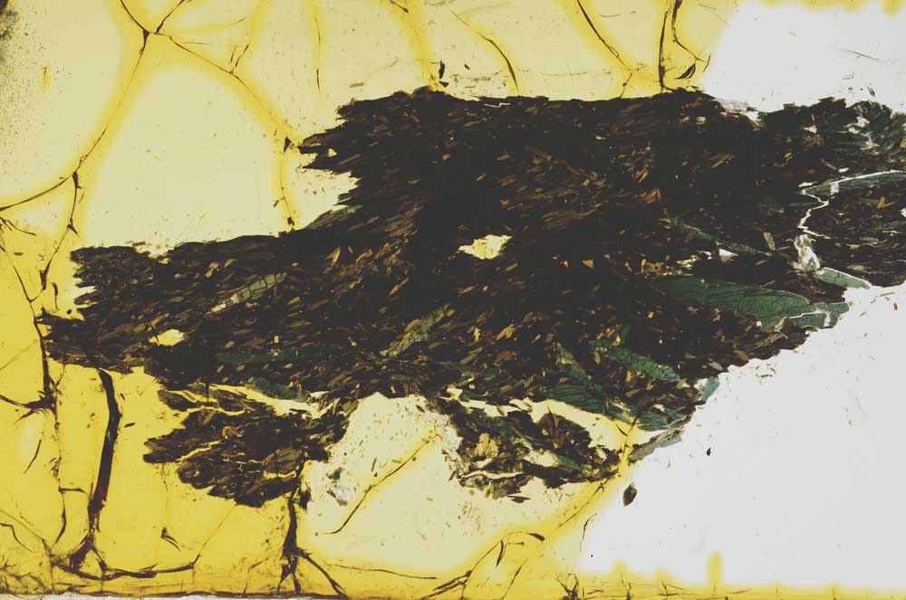 Plane Polarized, S1802