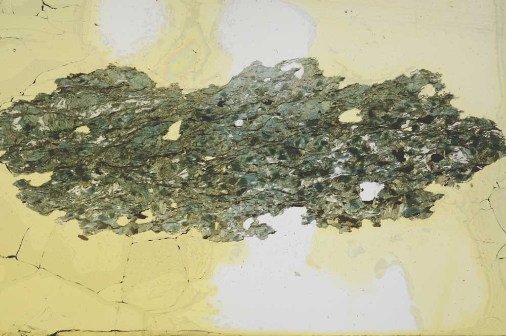 Plane Polarized, S1807