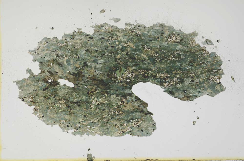 Plane Polarized, S1810