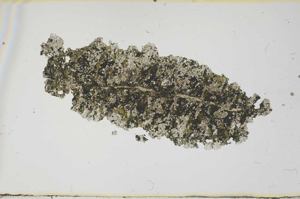 Plane Polarized, S1827