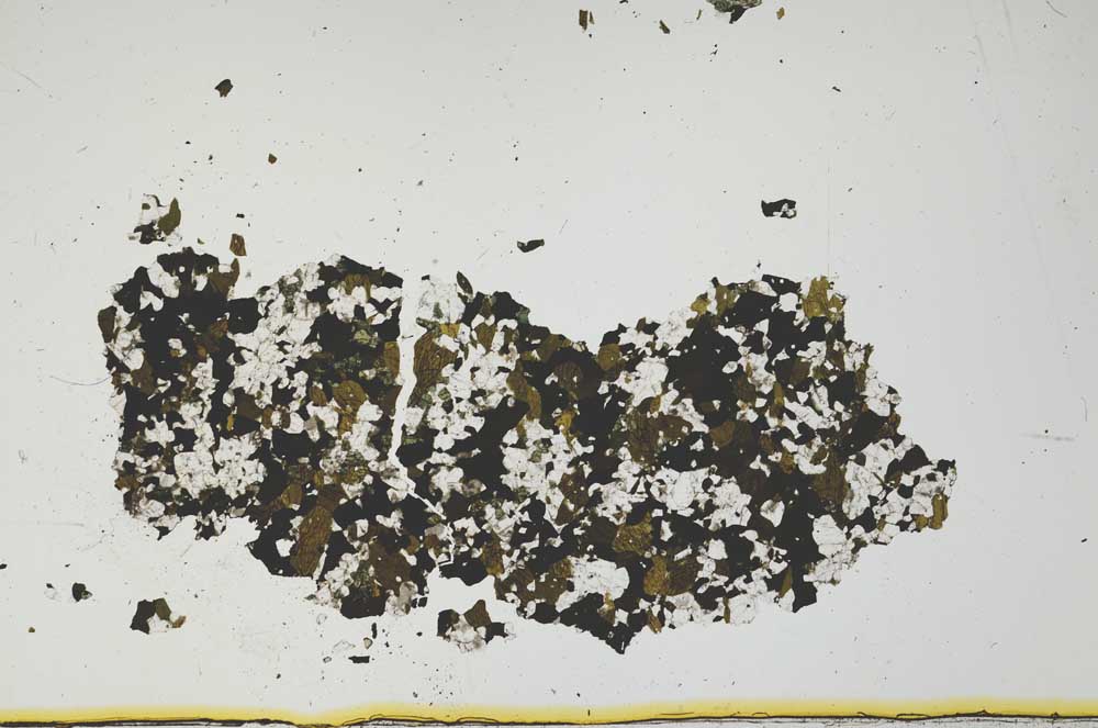 Plane Polarized, S1828