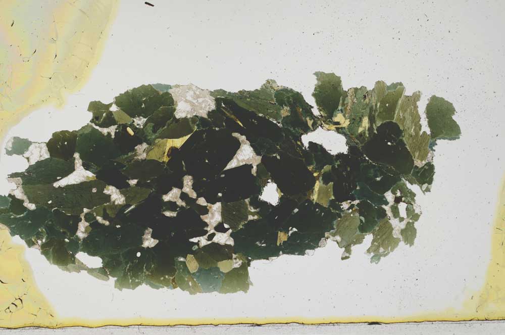 Plane Polarized, S1829