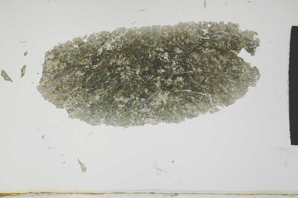 Plane Polarized, S1840