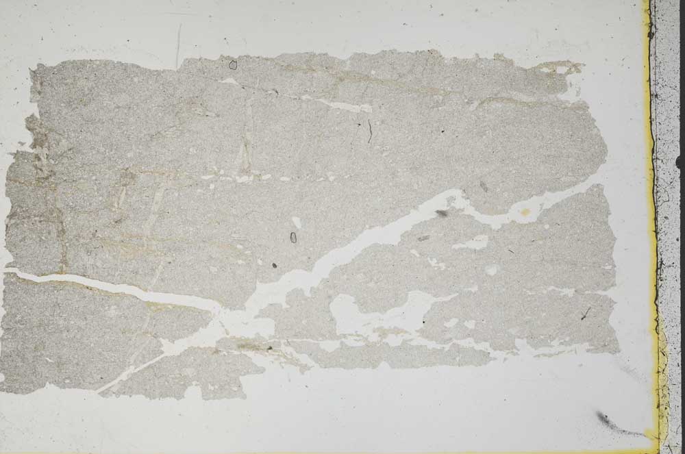 Plane Polarized, S1842/a