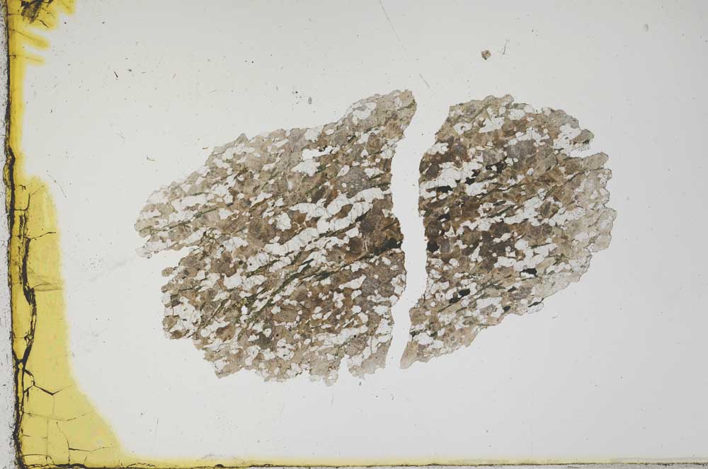 Plane Polarized, S1844