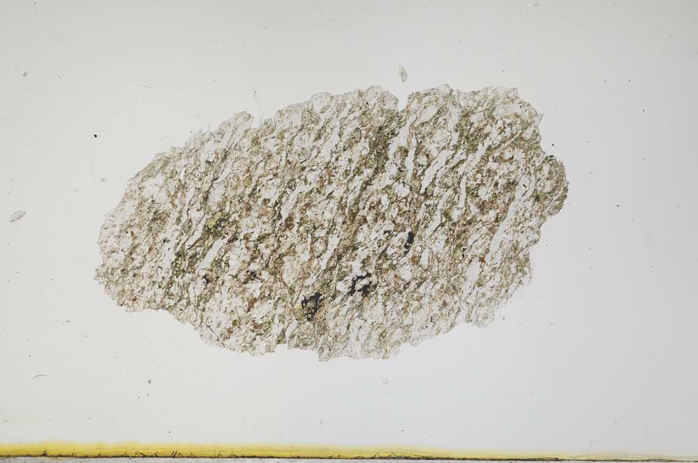 Plane Polarized, S1845