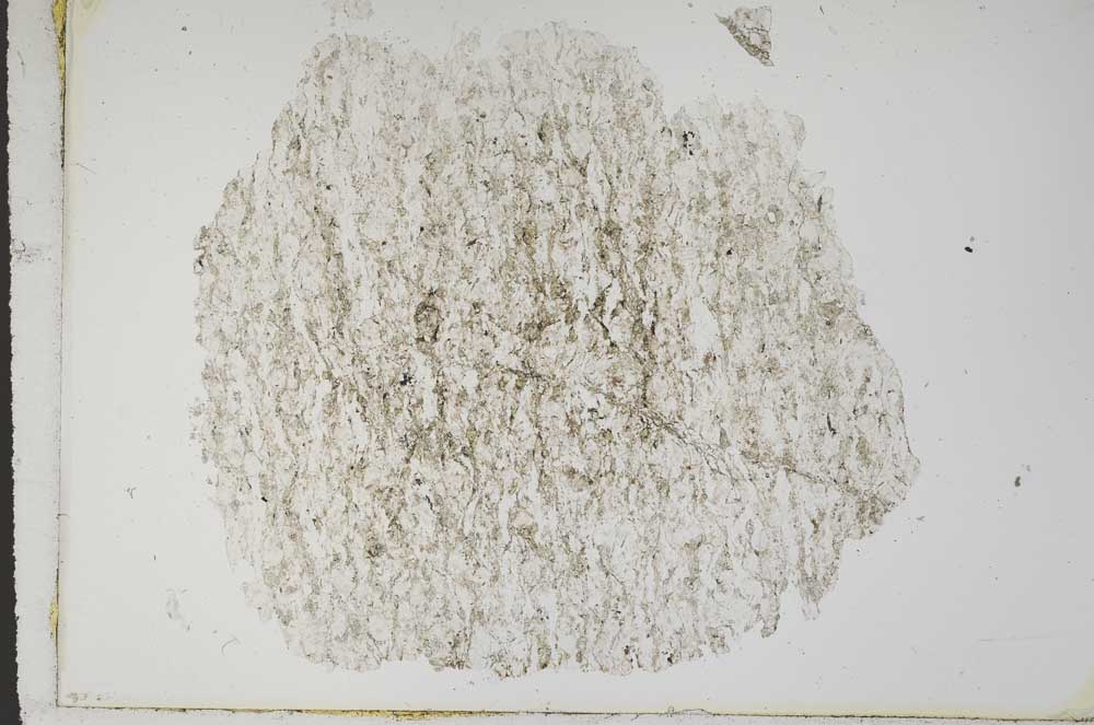 Plane Polarized, S1845/a