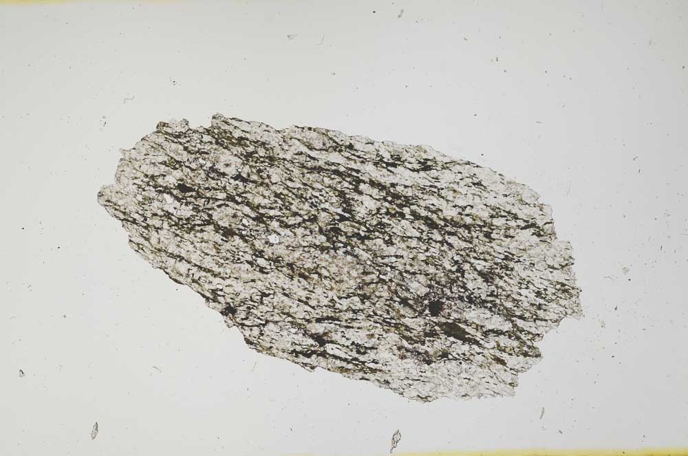 Plane Polarized, S1854