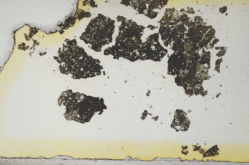 Plane Polarized, S1869