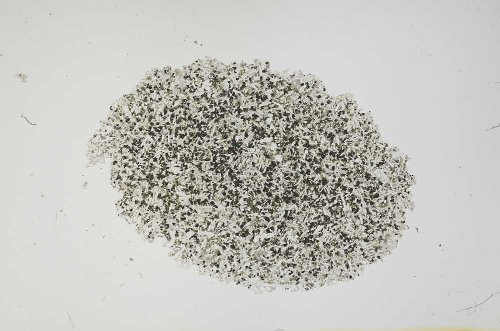 Plane Polarized, S1879