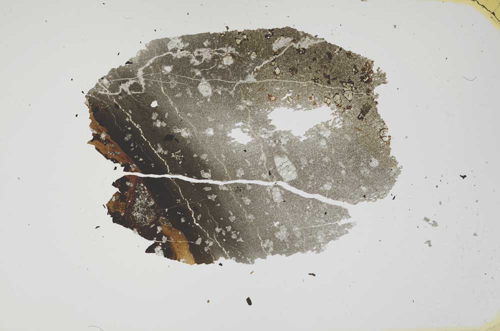 Plane Polarized, S1883