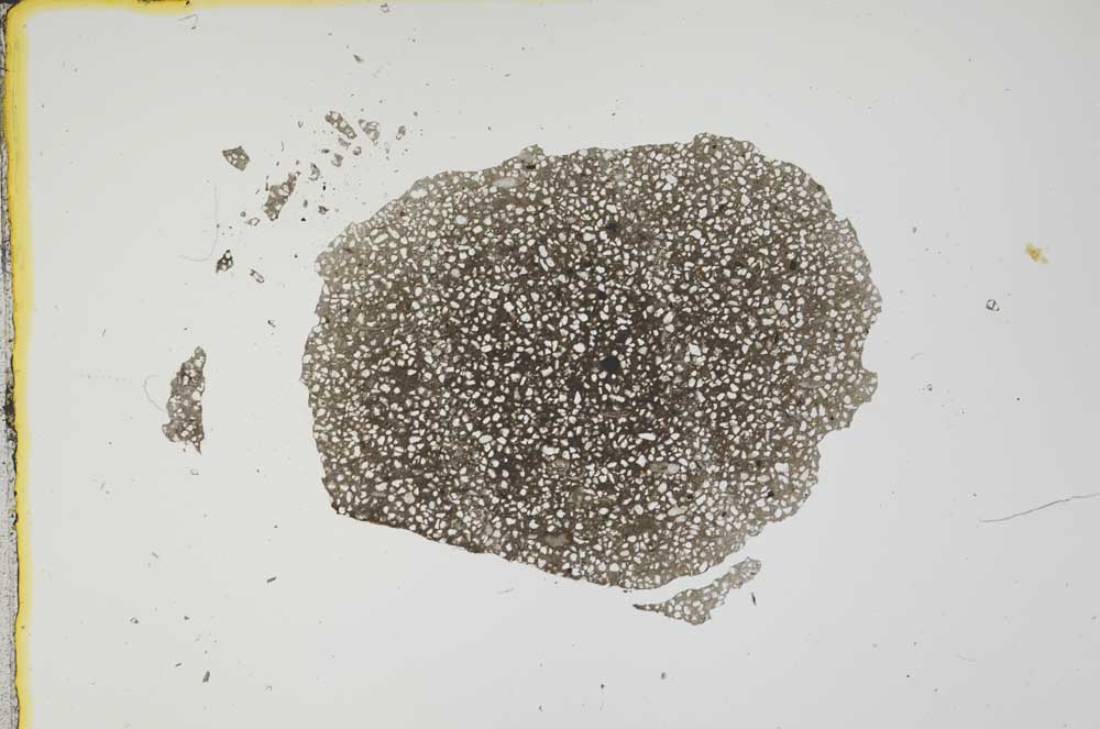 Plane Polarized, S1886