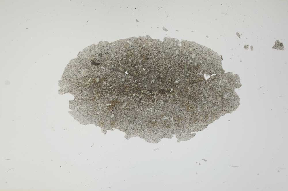 Plane Polarized, S1889