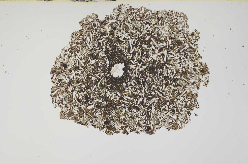 Plane Polarized, S1893