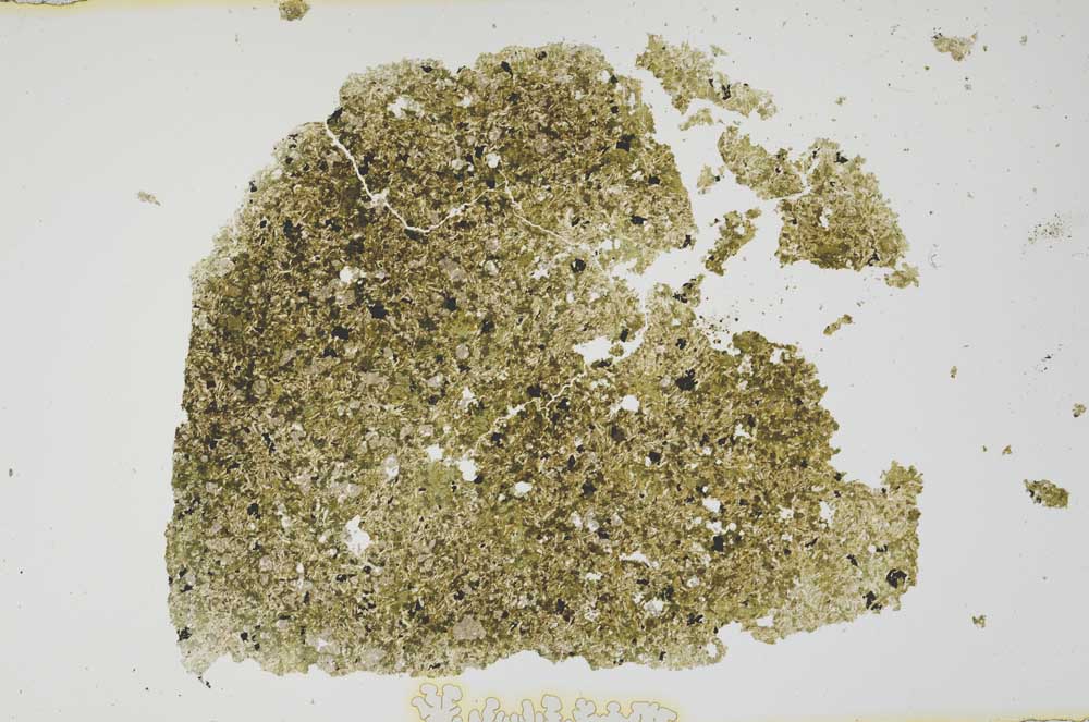 Plane Polarized, S1894