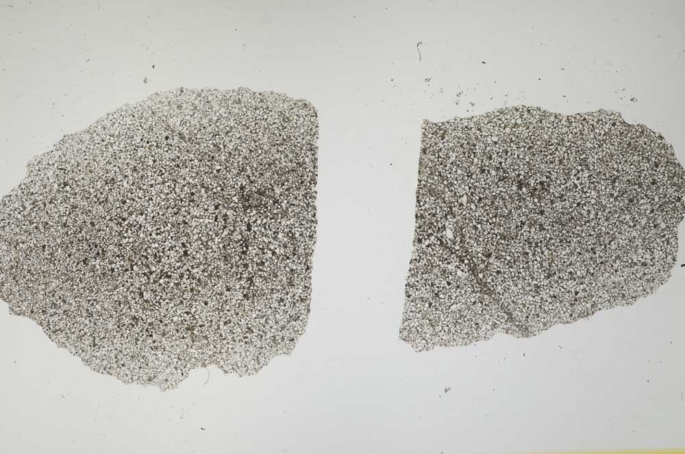 Plane Polarized, S1896