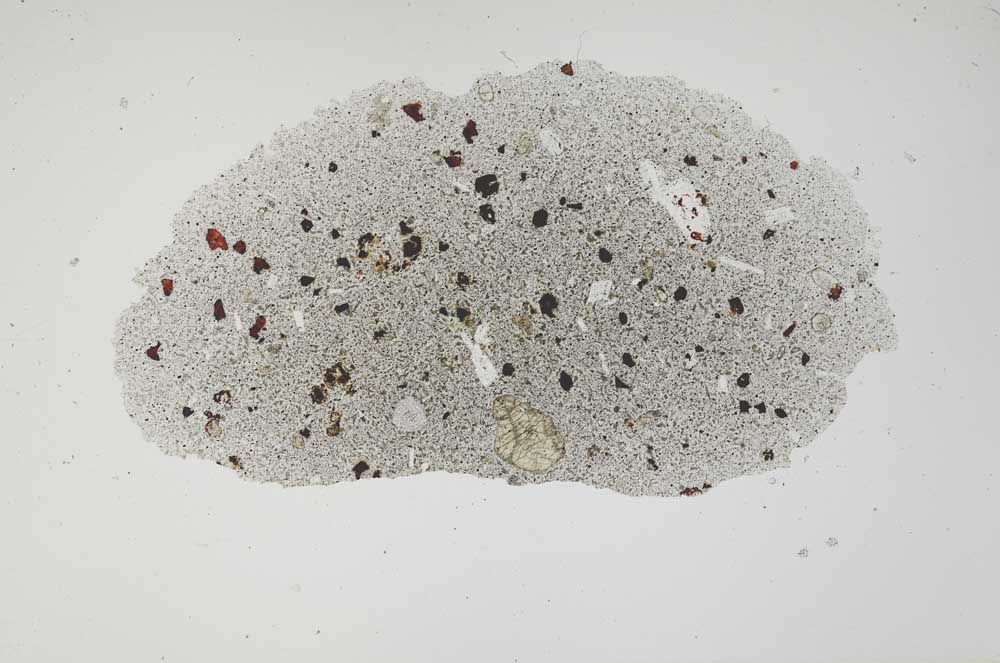 Plane Polarized, S1899