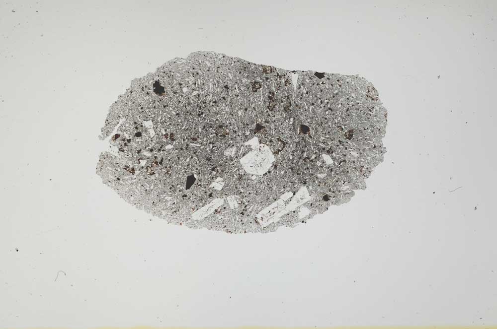 Plane Polarized, S1900