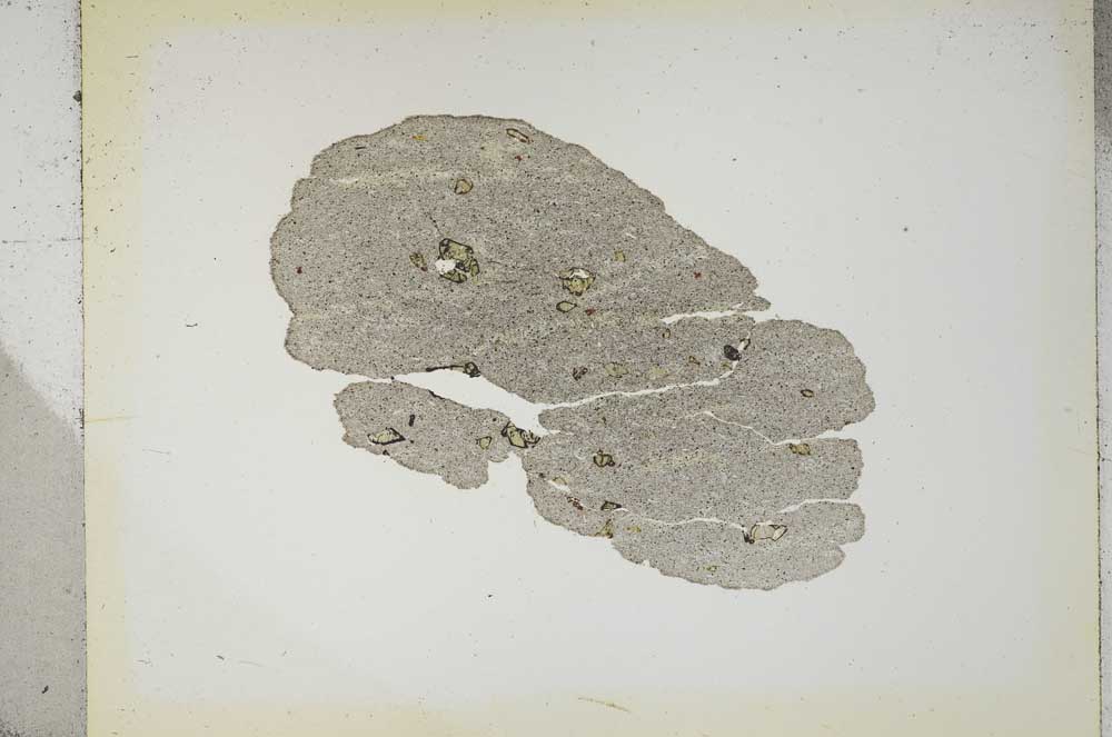 Plane Polarized, S1902