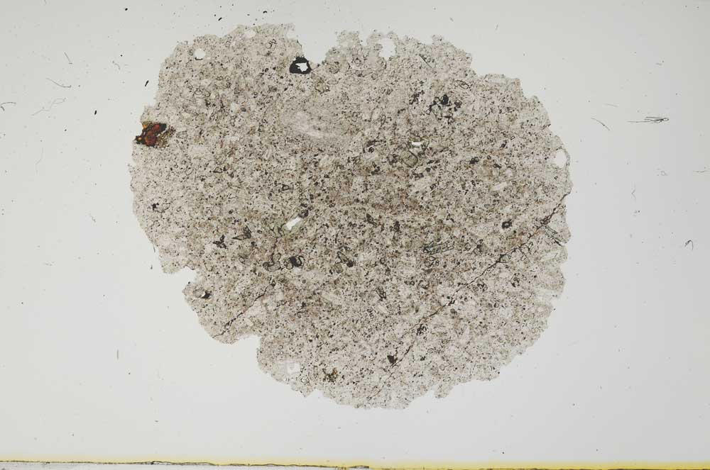 Plane Polarized, S1918