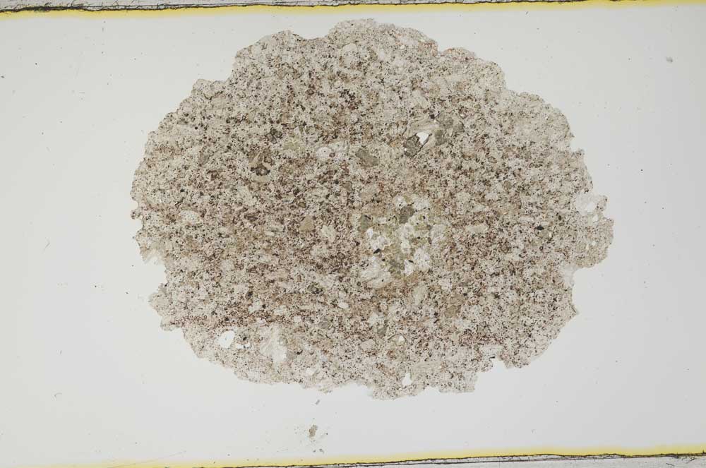 Plane Polarized, S1926