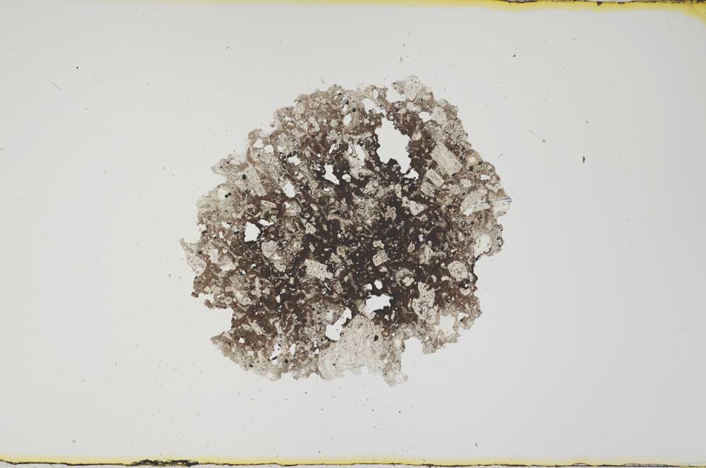 Plane Polarized, S1930