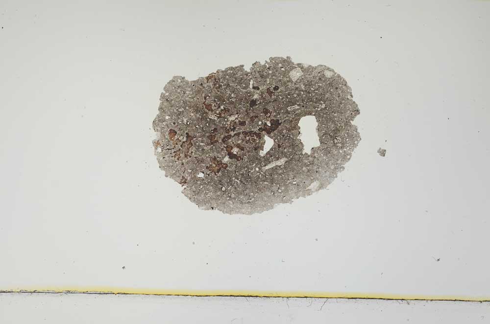 Plane Polarized, S1935