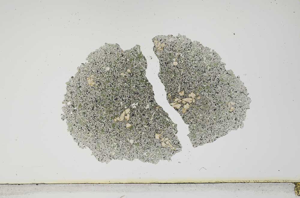 Plane Polarized, S1942