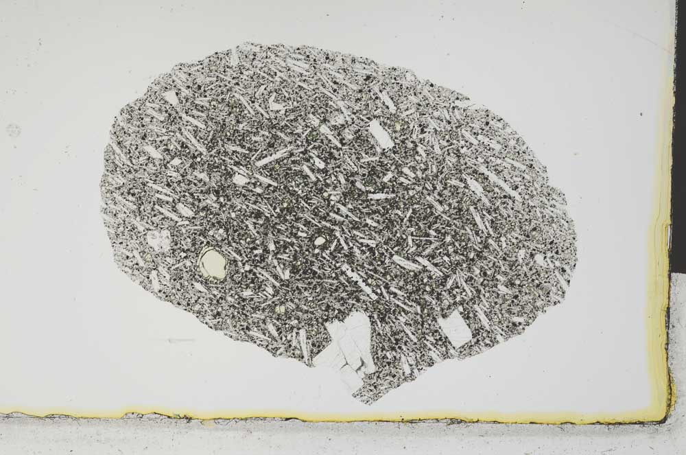 Plane Polarized, S1943