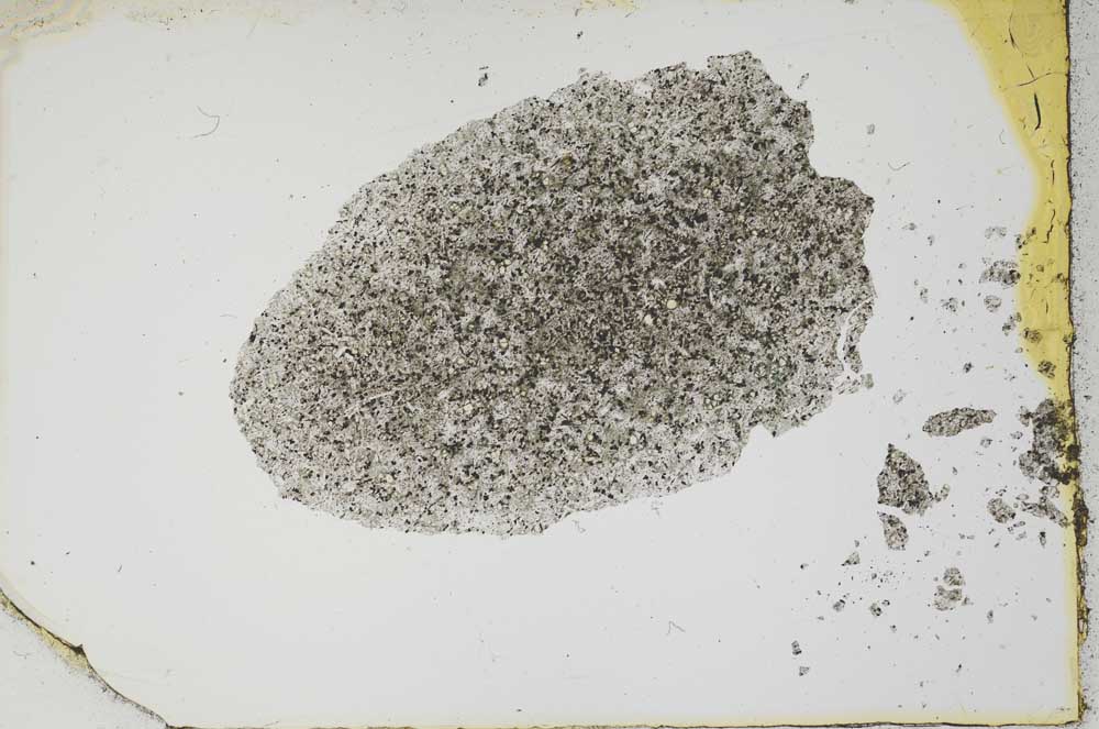 Plane Polarized, S1947