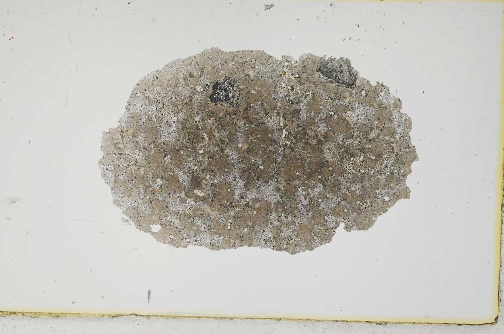 Plane Polarized, S1952