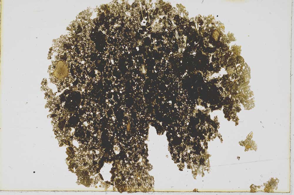 Plane Polarized, S1962