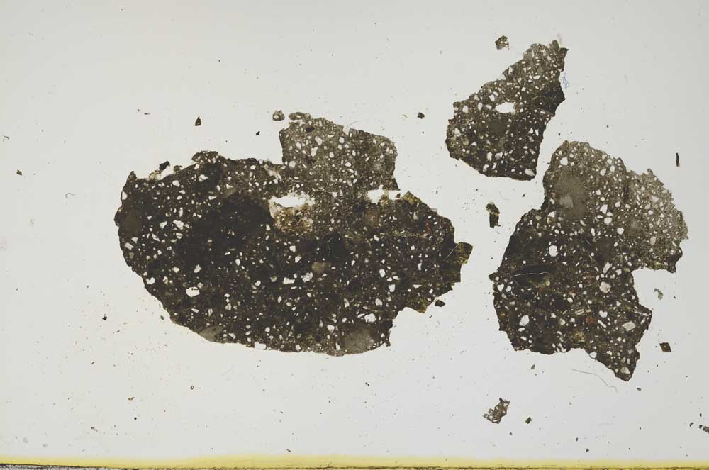 Plane Polarized, S1966